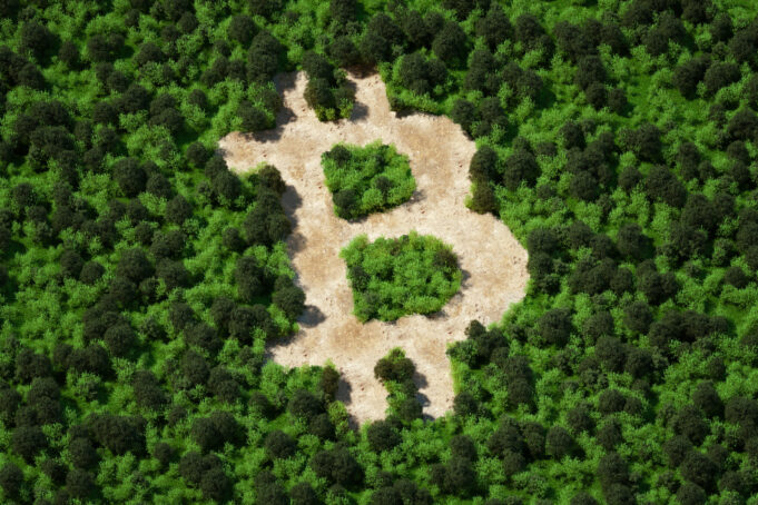 Les crypto-monnaies : vers un avenir plus vert ? Comment investir dans des crypto-monnaies respectueuses de l'environnement ?